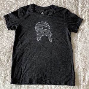 Backcountry size M gray t shirt.